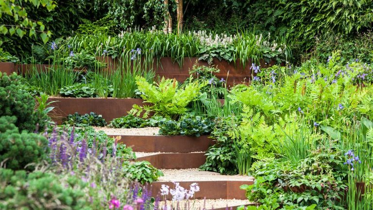 7 idées de bordures de jardin en métal – des moyens nécessitant peu d’entretien pour définir votre jardin