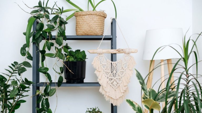Idées d'étagères pour plantes d'intérieur – conseils d'experts pour styliser vos plantes d'intérieur