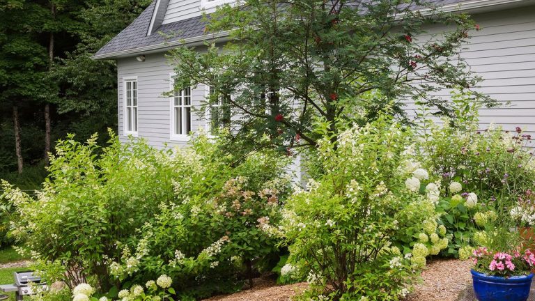 Aménagement paysager avec des arbustes – 10 façons d’introduire ces merveilleuses plantes ligneuses dans votre parcelle
