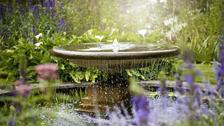 Comment pratiquer le jardinage en pleine conscience – et cultiver un sentiment de calme