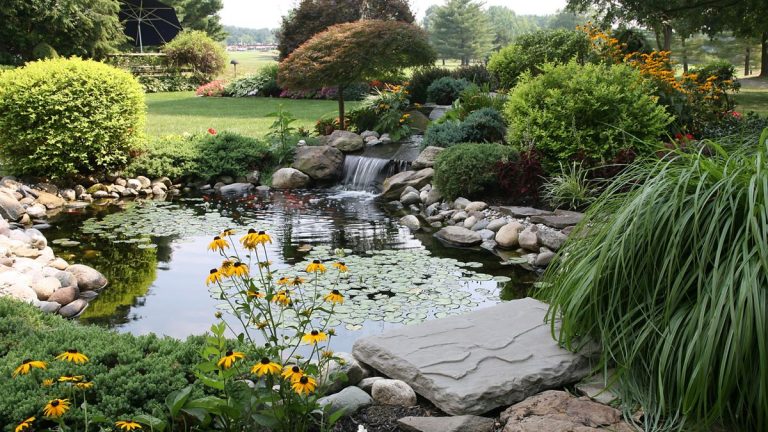 Qu'est-ce qu'un jardin pluvial ?  Cette idée brillante pourrait bien être la meilleure solution pour une cour gorgée d’eau