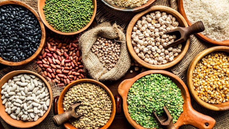 Comment faire pousser des lentilles – est-il simple de cultiver cette culture nutritive à la maison ?