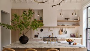 La cuisine transitionnelle deVOL des Brownstone Boys est le « mélange parfait » d'ancien et de nouveau – nous faisons le tour La cuisine transitionnelle deVOL des Brownstone Boys est le « mélange parfait » d'ancien et de nouveau – nous faisons le tour