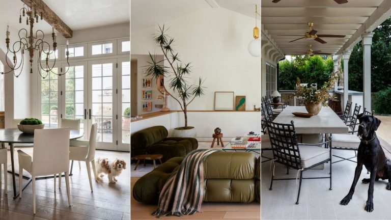 Comment protéger votre maison contre les chiens de la manière la plus élégante possible – 7 conseils d'architectes d'intérieur Comment protéger votre maison contre les chiens de la manière la plus élégante possible – 7 conseils d'architectes d'intérieur