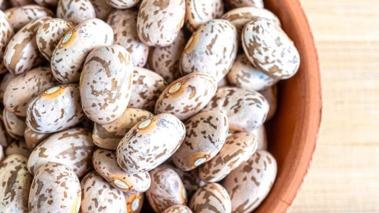 Comment faire pousser des haricots pinto – pourquoi les experts préviennent de « ne pas planter ni récolter trop tôt »
