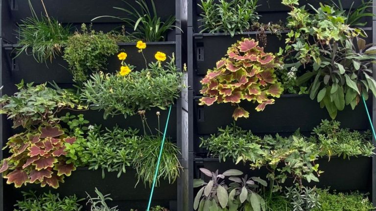 Des chercheurs révèlent les meilleures plantes murales végétales pour réduire la pollution de l'air Des chercheurs révèlent les meilleures plantes murales végétales pour réduire la pollution de l'air
