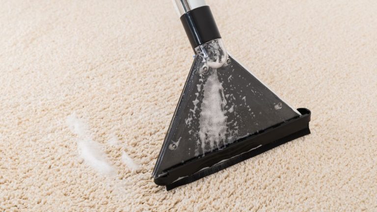 6 raisons de passer à un aspirateur eau/sec pour plus de puissance de nettoyage à la maison