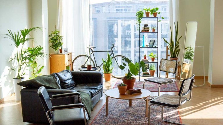 La vie en ville ne m'empêche pas de montrer ma main verte – voici mes conseils pour jardiner en appartement La vie en ville ne m'empêche pas de montrer ma main verte – voici mes conseils pour jardiner en appartement