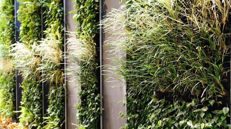 Comment créer un jardin vertical – Conseils DIY pour construire un mur végétal Comment créer un jardin vertical – Conseils DIY pour construire un mur végétal