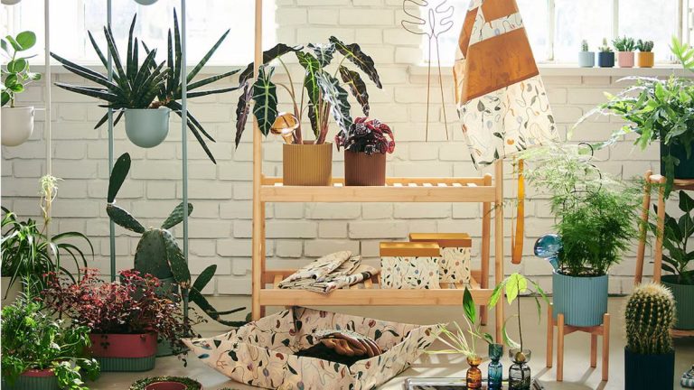 Nous sommes obsédés par la nouvelle gamme de jardin DAKSJUS d'IKEA et pensons qu'elle contient tout ce dont vous avez besoin pour créer un jardin intérieur prospère. Nous sommes obsédés par la nouvelle gamme de jardin DAKSJUS d'IKEA et pensons qu'elle contient tout ce dont vous avez besoin pour créer un jardin intérieur prospère.