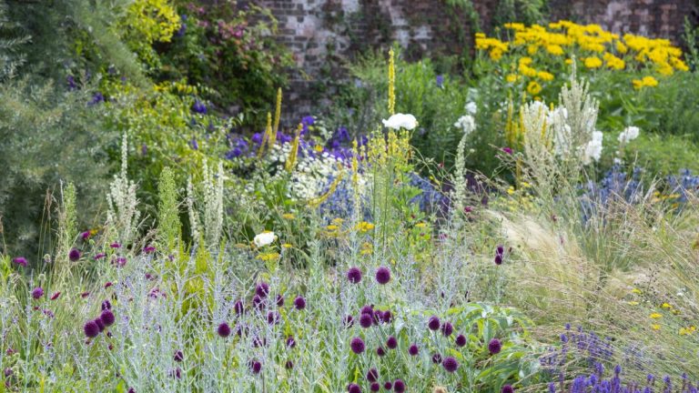 Comment concevoir et planter une bordure de papillons – conseils d'experts pour une parcelle respectueuse des pollinisateurs Comment concevoir et planter une bordure de papillons – conseils d'experts pour une parcelle respectueuse des pollinisateurs