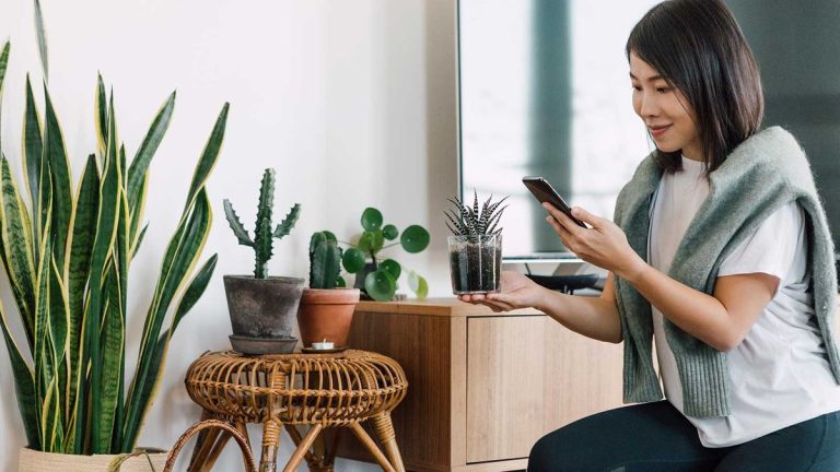 Meilleures applications de jardinage – facilitez vos projets de culture grâce à ces solutions technologiques intelligentes Meilleures applications de jardinage – facilitez vos projets de culture grâce à ces solutions technologiques intelligentes