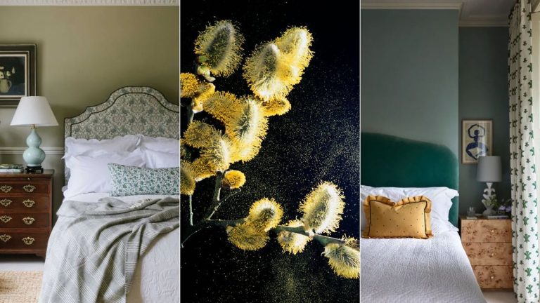 Comment protéger une chambre contre le pollen – pour une nuit de sommeil plus confortable