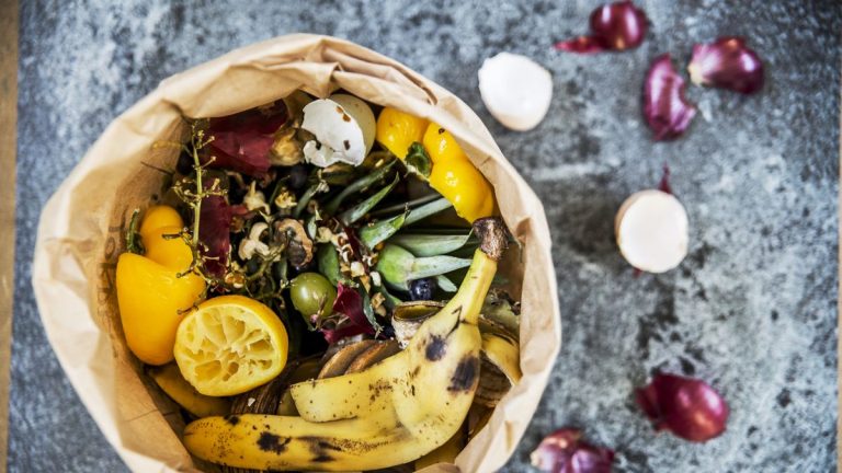 J'ai essayé d'utiliser ces 9 déchets de cuisine dans mon jardin et les résultats ont été étonnants J'ai essayé d'utiliser ces 9 déchets de cuisine dans mon jardin et les résultats ont été étonnants