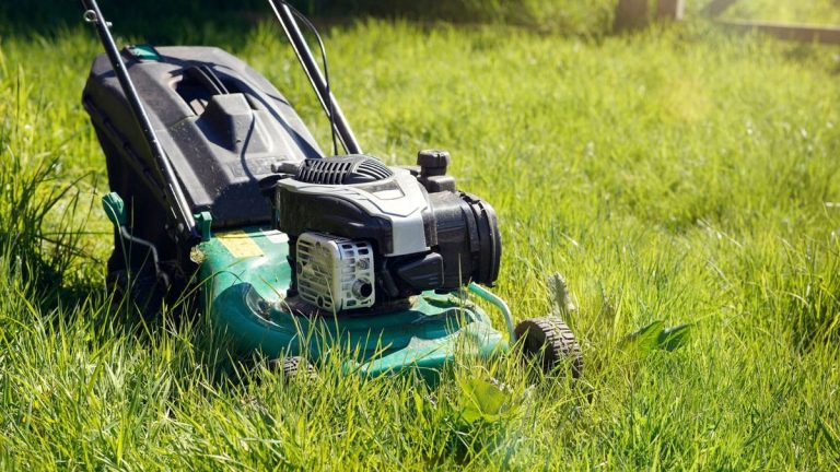 Pourquoi ma tondeuse à gazon ne démarre-t-elle pas ? 3 solutions faciles proposées par des experts en entretien des pelouses Pourquoi ma tondeuse à gazon ne démarre-t-elle pas ? 3 solutions faciles proposées par des experts en entretien des pelouses