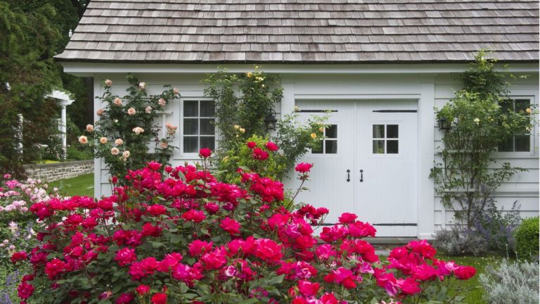 The Sill a lancé sa toute première gamme de plantes d'extérieur – et nous pensons qu'elle répond à tous vos besoins en matière de plantation d'arbres. The Sill a lancé sa toute première gamme de plantes d'extérieur – et nous pensons qu'elle répond à tous vos besoins en matière de plantation d'arbres.