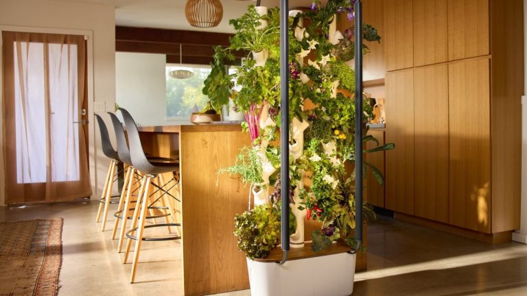 Qu’est-ce que le jardinage hydroponique ? La solution durable qui transforme la culture en intérieur Qu’est-ce que le jardinage hydroponique ? La solution durable qui transforme la culture en intérieur