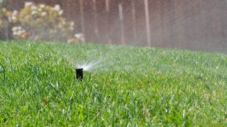 Quand commencer à arroser une pelouse au printemps – et 4 conseils d’experts pour vous aider à prendre des décisions efficaces Quand commencer à arroser une pelouse au printemps – et 4 conseils d’experts pour vous aider à prendre des décisions efficaces
