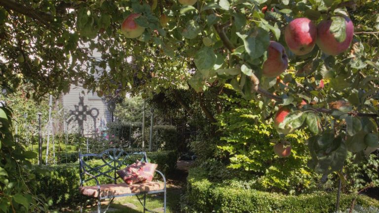 Comment fertiliser les arbres fruitiers jeunes et établis pour les garder sains et productifs