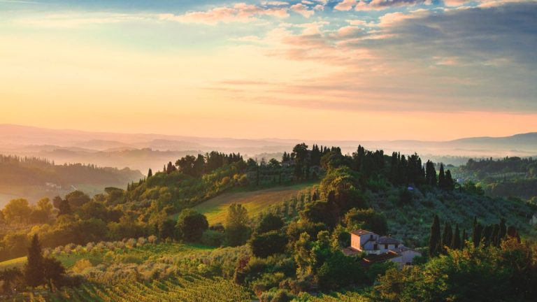 J'étais jardinier en Toscane – voici comment créer un jardin à l'italienne en 5 étapes