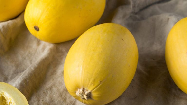 Comment faire pousser de la courge spaghetti – conseils d’experts pour cultiver efficacement cette courge d’hiver unique