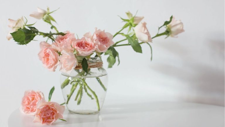 Avez-vous essayé de mettre des boutures de roses dans l'eau ?  Les experts disent que c'est un moyen simple de multiplier vos fleurs