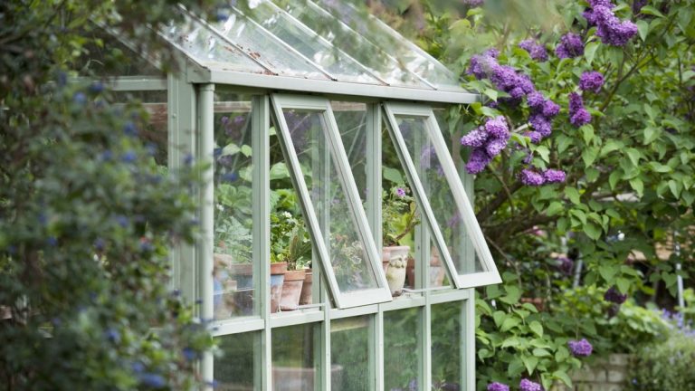 Comment aérer une serre – 3 façons de garder vos plantes au frais en été