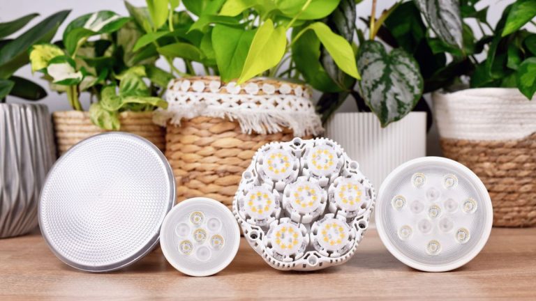Quand utiliser des lampes de culture sur les plantes – et pendant combien de temps les utiliser