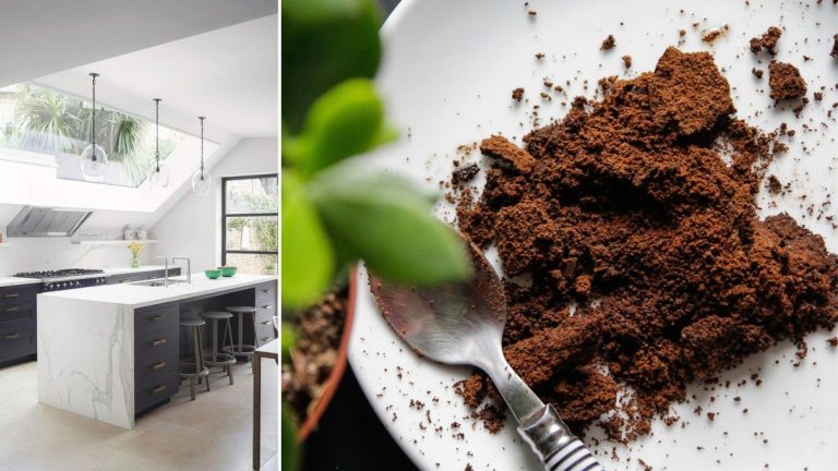Les nettoyeurs professionnels disent que vous pouvez nettoyer votre cuisine avec du marc de café – mais quelle est leur efficacité ?