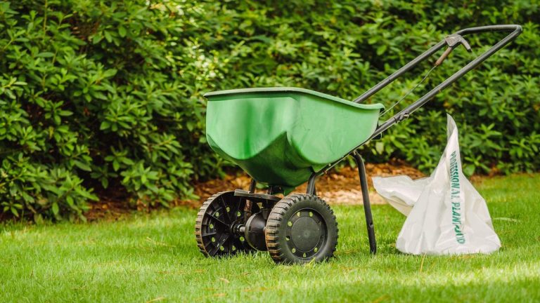 Faut-il semer ou fertiliser d’abord au printemps ?  Des conseils d'experts pour vous aider à décider de la commande qui vous convient le mieux