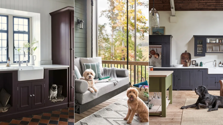 Conseils d'entretien ménager pour les nouveaux propriétaires de chiens – 5 façons de garder votre maison bien entretenue avec des compagnons canins Conseils d'entretien ménager pour les nouveaux propriétaires de chiens – 5 façons de garder votre maison bien entretenue avec des compagnons canins