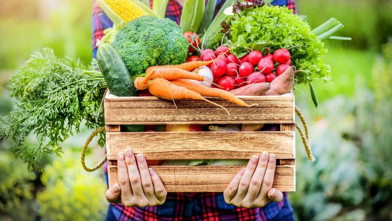 Comment cultiver des légumes à l'heure du changement climatique : "Nous devons mettre de côté les règles", déclare un auteur spécialisé dans le jardinage