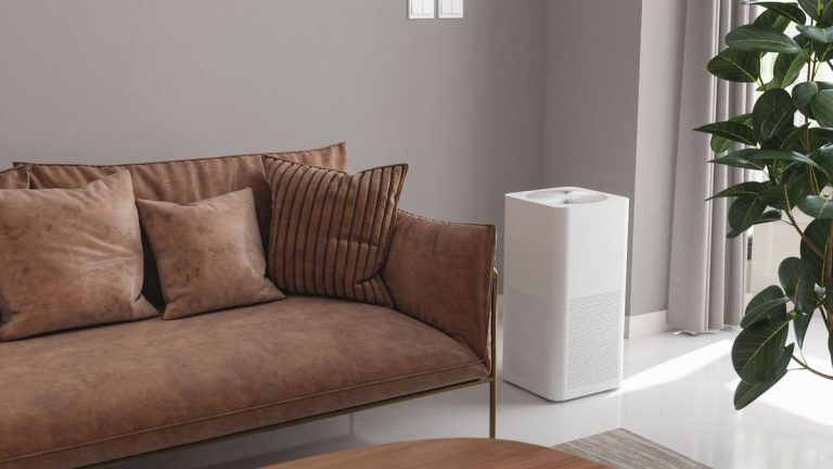 Purificateurs d’air ou humidificateurs : à quoi servent-ils et de lequel ai-je besoin ? Les purificateurs d’air aident-ils à éliminer la poussière ? Les experts en électroménager tranchent le débat