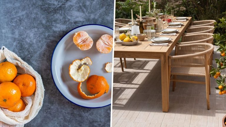 Pourquoi devriez-vous placer des écorces d’orange autour de votre terrasse – une façon biologique de dissuader les parasites Pourquoi devriez-vous placer des écorces d’orange autour de votre terrasse – une façon biologique de dissuader les parasites