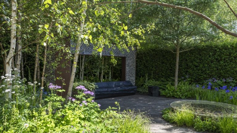 Meilleures plantes du RHS Chelsea Flower Show 2024 – ce sont les plantes qui ont volé la vedette