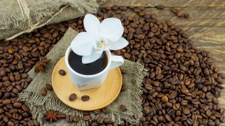 Avez-vous déjà utilisé du marc de café sur vos orchidées ? Voici pourquoi les experts mettent en garde contre la prudence avec cet engrais DIY Avez-vous déjà utilisé du marc de café sur vos orchidées ? Voici pourquoi les experts mettent en garde contre la prudence avec cet engrais DIY