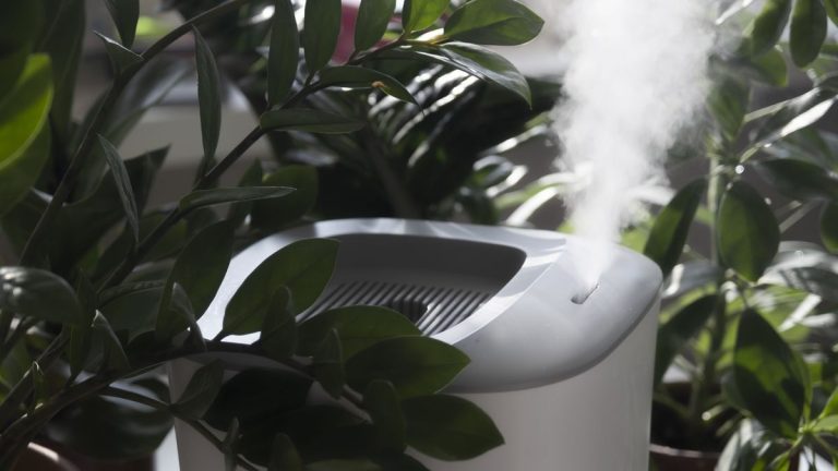 Qu'est-ce qu'un hygrostat et en ai-je besoin ? Gardez un œil sur le taux d'humidité de votre maison Qu'est-ce qu'un hygrostat et en ai-je besoin ? Gardez un œil sur le taux d'humidité de votre maison