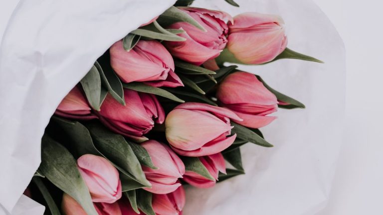 Comment conserver les bulbes de tulipes – et les conserver pour l’année prochaine