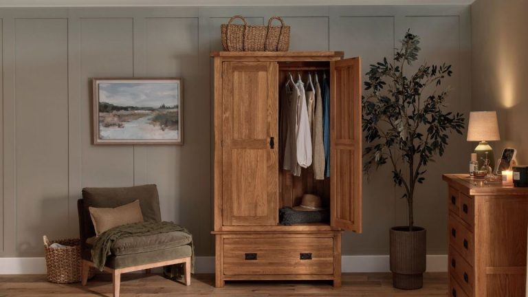 Quels insectes causent des trous dans les vêtements ? De plus, les astuces pour les arrêter Quels insectes causent des trous dans les vêtements ? De plus, les astuces pour les arrêter
