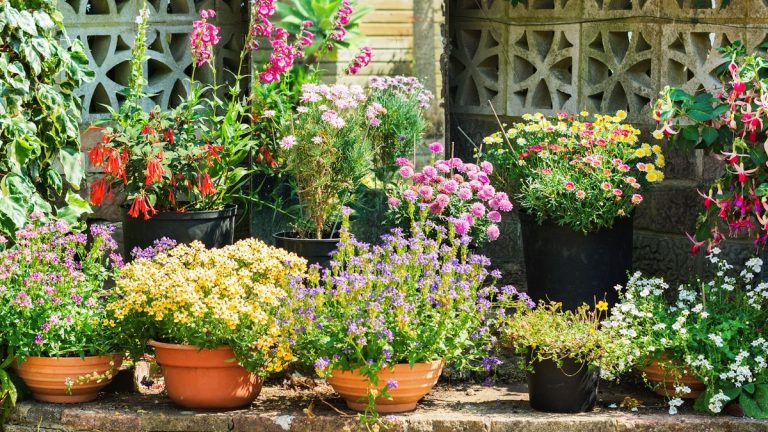 Comment embellir vos pots de printemps pour l'été – 5 façons de rafraîchir vos pots