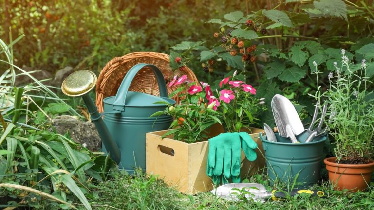 5 tâches de jardinage pour débutants – tâches amusantes et faciles, recommandées par des experts en jardinage 5 tâches de jardinage pour débutants – tâches amusantes et faciles, recommandées par des experts en jardinage