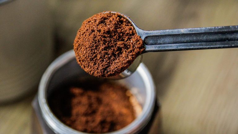 Le marc de café est-il bon pour les plantes ? On vous dévoile tout sur cet engrais végétal écologique Le marc de café est-il bon pour les plantes ? On vous dévoile tout sur cet engrais végétal écologique