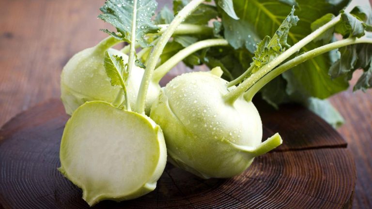Comment et quand récolter le chou-rave – le moment idéal pour obtenir la meilleure saveur et texture