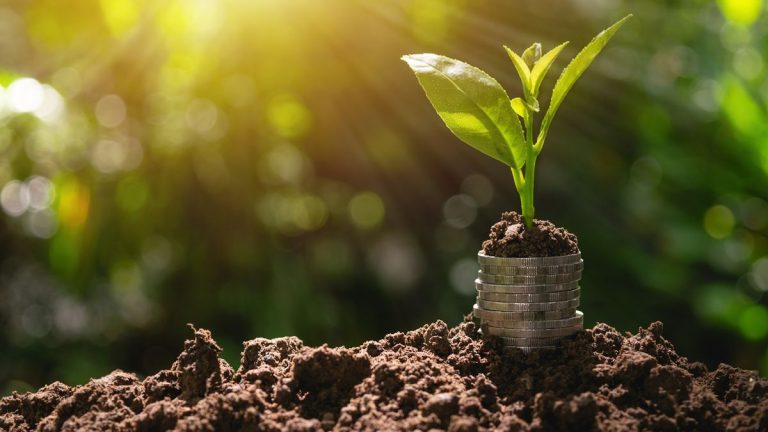 Les gens mettent des sous dans leur sol – et ce n'est pas dans l'espoir de faire pousser un arbre à argent. Mais faut-il se précipiter pour suivre cette tendance ? Les gens mettent des sous dans leur sol – et ce n'est pas dans l'espoir de faire pousser un arbre à argent. Mais faut-il se précipiter pour suivre cette tendance ?