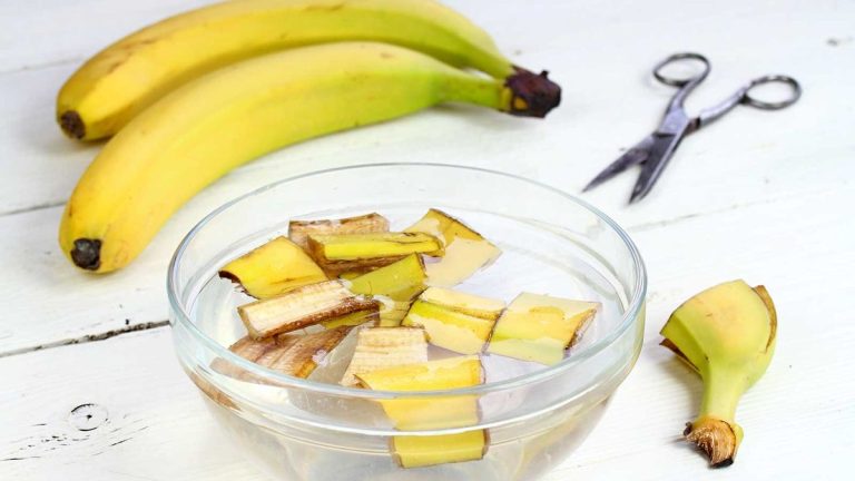 Les plantes aiment-elles l’eau de banane ?  Les experts en jardinage interviennent
