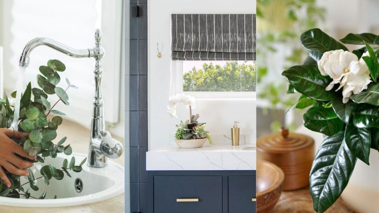 7 plantes pour parfumer la salle de bain – pour une ambiance relaxante