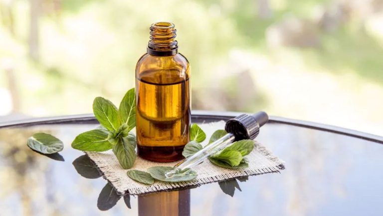 Quelles odeurs les rats et les souris détestent-ils ? 5 parfums pour aider à dissuader ces parasites Quelles odeurs les rats et les souris détestent-ils ? 5 parfums pour aider à dissuader ces parasites