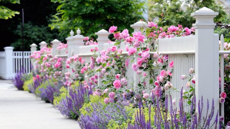 Tendances dépassées pour les jardins d’entrée – 8 looks à adopter et des façons inspirantes de les remplacer