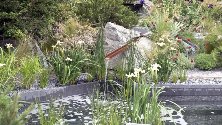 Comment réduire le gaspillage d’eau dans votre jardin – 5 solutions d’économie d’eau pour un jardinage d’été plus écologique