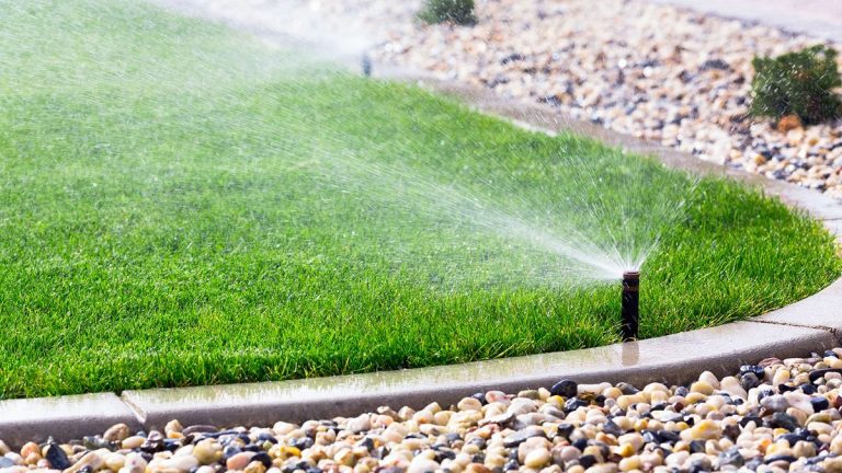 Combien de temps faut-il arroser une pelouse ? Conseils de pro sur le moment idéal pour arroser une pelouse